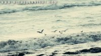 Weekly film and music no words. - Meditate