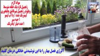 آلرژی فصل بهار را با این نوشیدنی خانگی درمان کنید