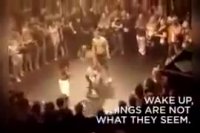 وقتی تو دعوا شاخ بازی درمیاری