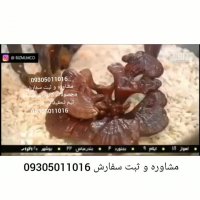 شبکه 4 و گانودرما!دیابت درمان پزشکی طب سنتی سرطان فشار خون چربی پسوریازیس ویتیلی