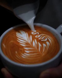 آموزش باریستا لته ارت کافی شاپ - ایران شف اولین مدرسه قهوه در ایرانI.C.A