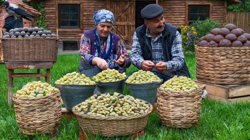 آشپزی روستایی آذربایجان خانم فرناز - شیره توت سفید
