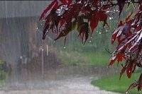 رگبار پراکنده باران و وزش باد از فردا در شمال غرب کشور