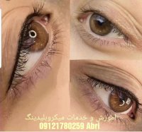 آموزش اکادمیک و تخصصی میکروبلیدینگ  09121780259 Abri