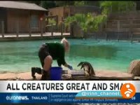 وزن کردن حیوانات باغ وحش در لندن