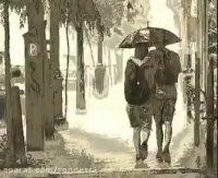 آهنگ هوای بارانی