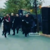 زهاا درجه یک برای قلیونیا