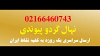 بهترین نهال گردو 09123205271