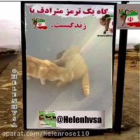 گاه یك ترمز مترادف زندگیست