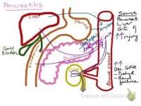 فروش آنزیم لیپاز 09108165668