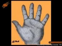 کف بینی و فال از روی کف دست