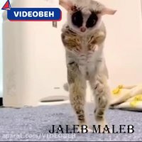 طنز| ژل ضدعفونی