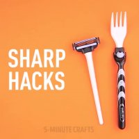 محافظت از ژیلت