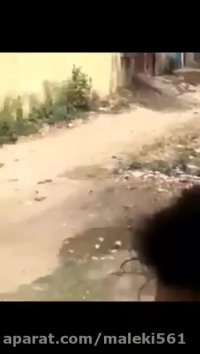 برخورد برق فشار قوی با درخت که منفجر شد حوادث خطرناک و شوکه کننده باحال  Best vi