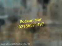 فانتاکروم ابکاری //فرمول ابکاری02156571497