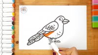 آموزش نقاشی کودکان _ آموزش نقاشی پرنده _ نقاشی پرنده برای کودکان - نقاشی ساده