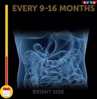 سن ما واقعا زیاد نمی‌شود!