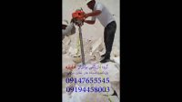 دستگاه حفاری و کرگیری بنزینی قابل حمل