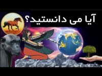 دانستنی های جالب دنیا که تا به حال به گوشتان نخورده است!