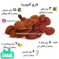 خواص گانودرما.مشاوره٠٩١٥٤١٦٥٠٢٧