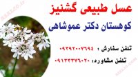 خواص عسل درمانی عسل طبیعی گشنیز کوهستان