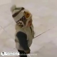 بی تابی فرزند خردسال شهید حججی در بین الحرمین