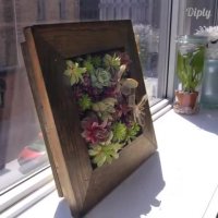 گلدون دیواری زیبا بسازید