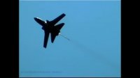 نمایش هوایی Panavia Tornado