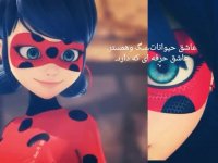 خصوصیات مورد علاقه لیندی باگ