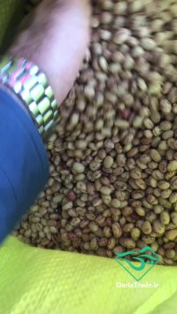 فروش انواع لوبیا چیتی ایرانی و خارجی