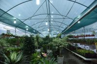 آفات و بیماری های گلخانه