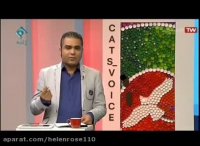 به نوزادحیواناتى كه درطبیعت میبینید دست نزنید