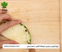 خلاقیت با میوه ها