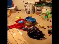 اختلال طیف اوتیسم