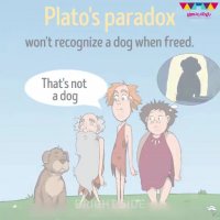 ⁣پنج پارادوکس عجیب در مغز