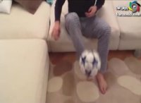 روپایی زدن کاسانو