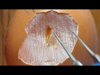 تمرین دانشجوی پزشکی روی مواد غذایی !