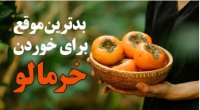 بدترین موقع برای خوردن خرمالو