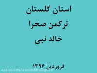 سفر پرنده نگری ترکمن صحرا فروردین 1396