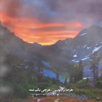 علیرضا افکاری بی تفاوتی