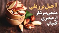 آجیل برزیلی منبعی سرشار از عنصری کمیاب