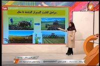 درس علوم دوم ابتدایی : سه شنبه 6 خرداد