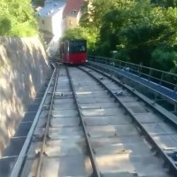 هیجان در وسط شهر اتریش