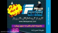 یک گردو که چیزی نیست(مجموعه فایل های به سوی پرواز)