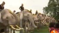 رژه فیل‌ها در مراسم سالمرگ پادشاه تایلند