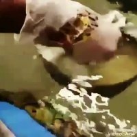 مخمل پاش09192075483