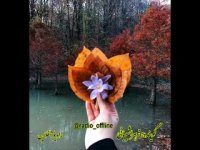 برایت هر چه خوبی هست صمیمانه دعا کردم ...