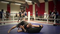 Lutte pour MMA : Direct, swing & takedown