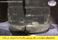 پرورش و تکثیر زالو-رقص زالو