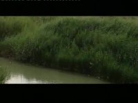 چابهار، زیبای آرمیده بر ساحل دریای مکران